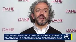 Crecimiento de la econom&iacute;a en Colombia denota la reactivaci&oacute;n del sector privado: director del Dane.