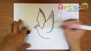 How to Draw a Flying Dove Step by Step