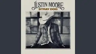Stray Dogs