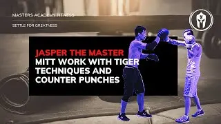 Boxing Training - Working Mitts and Pool Noodles with Tiger
