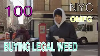 100th VLOG! Buying Legal Weed IN New York City!