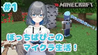 【minecraft】ゼロから始めるぼっちなマイクラ生活！最初の夜を生き残りたい！【初見さん、ROM専さん大歓迎！有識者きてー！！】