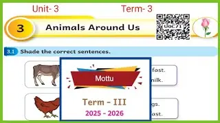 Animals Around Us,  English workbook answers Term3 