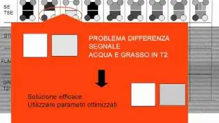 Semeiotica del segnale in risonanza magnetica 3/7