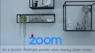 It's a Quickie! Zoom tool: pointer when sharing screen || Digitally Yours, @dele