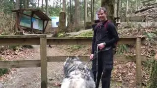 Dog Hikes in Mission BC