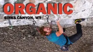 Ben Crawford | Organic (14b/8c) | Sinks Canyon Climbing