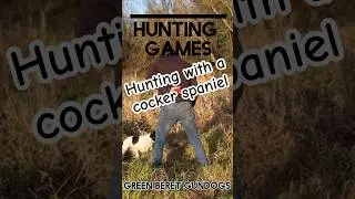Hunting games with a cocker spaniel #gundogbreeds #gundogs #dogcoach #huntingdogs #gundog #spaniels