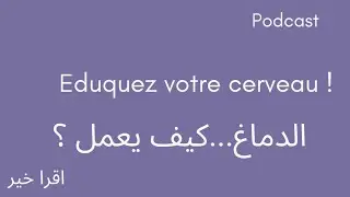 الدماغ...كيف يعمل ؟