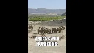 Дикие просторы Африки / Africa's Wild Horizons / Серия 5 Назад к истокам