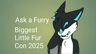 Ask a Furry | Biggest Little Fur Con 2025