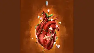 Puncher Aana Life'u
