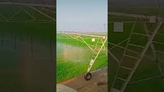 Central Pivot lrrigation System South Punjab tmg amna#shorts #pivot #system #viral #shakeelch