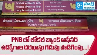 PNB 750 Local Bank Officer Jobs 2025 | Application Deadline Extended #sakshieducation