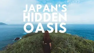 🏝️ Откройте для себя Амами Осима &mdash; скрытый оазис Японии.