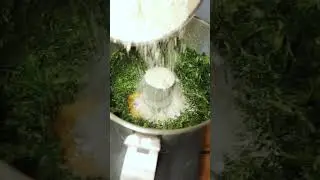 FARCOUS (AVEYRON) EPINARDS & ROQUEFORT (IG BAS) #recipe #shortvideo #food #reels #foodie