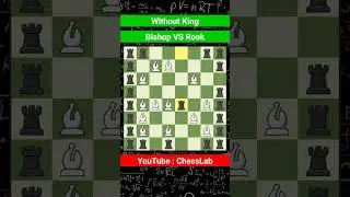 AMAZING!!! battle bishop vs rook chess , who will win??? - chess experiment