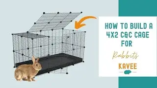 How to Build a 4X2 C&C Cage for Rabbits