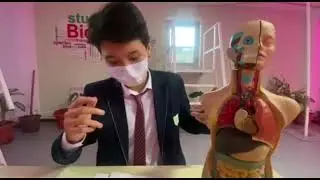 NIS student`s documentary