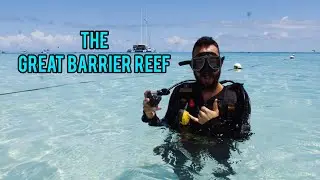 Scuba and Snorkel at Michaelmas Cay