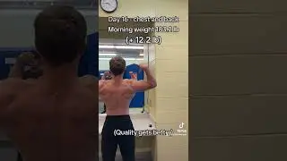 Day -16 bulk
