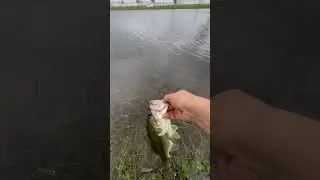 After work chunky bass release