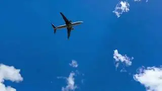 Crystal Clear Glacier Waters, Airplane & Duckling Crossing | Queenstown New Zealand Nature Beauty|4K