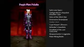 Purple Paladin Plate Transmog #worldofwarcraft #kittanygames #games #gaming #blizzard #mmorpg
