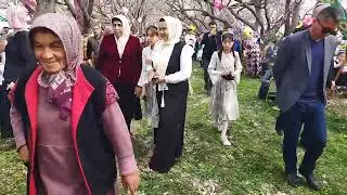 🌺 Ўзбекистон туманида бўлиб ўтган 