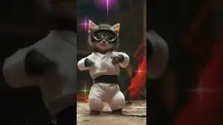เอ้าว่าไงนาคี Cat Dance​#animaldance555​#animaldance​#petdance​#catdance​#naky​#Nakydance​#funny​