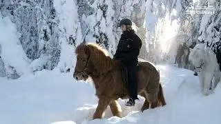 Vinter i pust-inn, pust-ut-landet! Visit &Oslash;st-Norge 💙