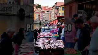 The Vibrant Streets of Porto