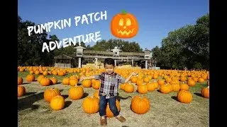 Pumpkin Patch Adventure at Fog Willow Farms