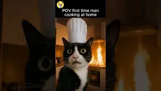 POV first time man cooking at home #shorts 🙀🔥 #cat #funny #meme #chefcat #chef #cooking #animalvibes