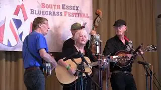 Stained Glass Bluegrass. South Essex Bluegrass Festival 2019