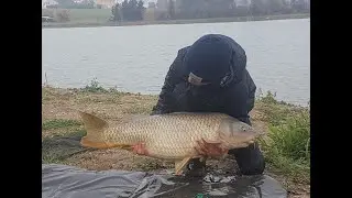 Pescata a Carpfishing veloce al lago Taus
