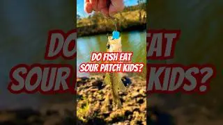 Do Fish Eat Sour Patch Kids? #fishing #bassfishing #bass #shorts #viralshorts #willitcatch