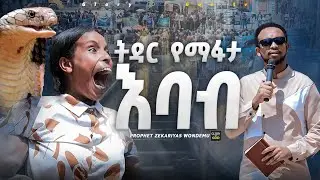 በሰበታ ጎዳና እባቡ ተመታ @prophetzekariyaswondemu