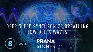 8 Hours Deep Sleep Music - Synchronize Breathing - Low Delta Waves 24/7 | Prana Stones Meditation