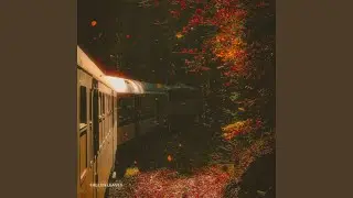 Anything