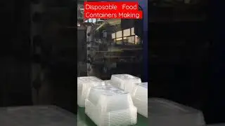 Disposable Food Container Making| High Speed Injection Molding Machine