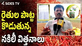 నకిలీ విత్తనాలతో తగ్గుతున్న దిగుబడి || Fake Chilli Seeds in Khammam || @4SidesTvTelugu