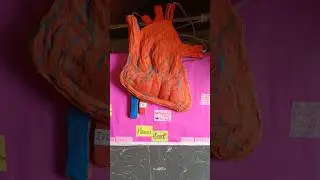 A creative Smart model heart by students #ytshorts #youtubeshorts  #school #motivation