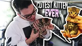 THE NEW FAZE HOUSE PET!