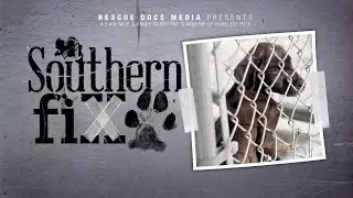 Trailer: A Southern Fix