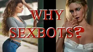 WHY SEXBOTS??