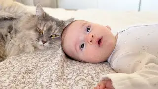 Adorable Newborn Baby and Cat