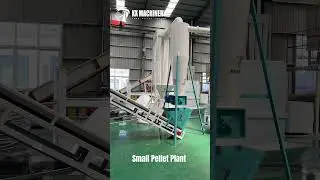 Small Pellet Plant Biomass Pellet Machine and Crusher Machine #pelletmachine #crushermachine
