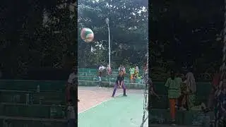 Latihan pasing bawah #viralshorts #voliindonesia #volimini #voli