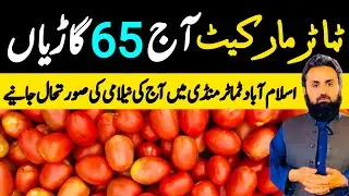 Tomatoes Market Today | Sabzi Mandi Islamabad | Tomato Prices | Auction Update | 3 February 2026